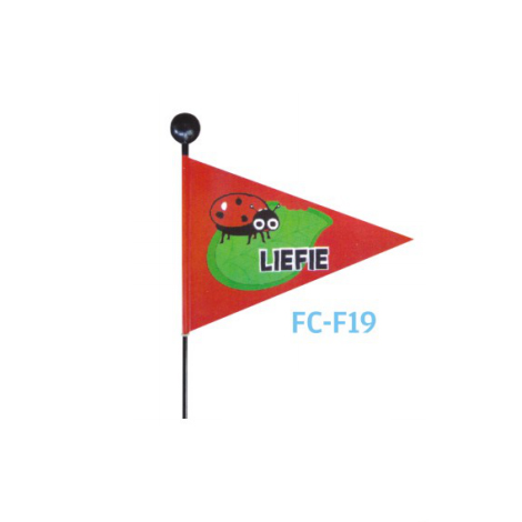 FC-F19