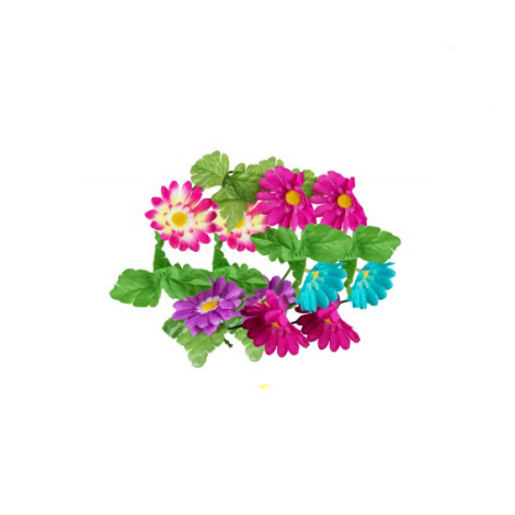 FC-D06